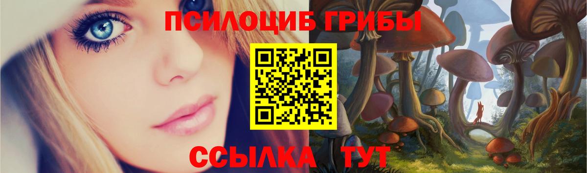 Псилоцибиновые грибы мицелий Уфа